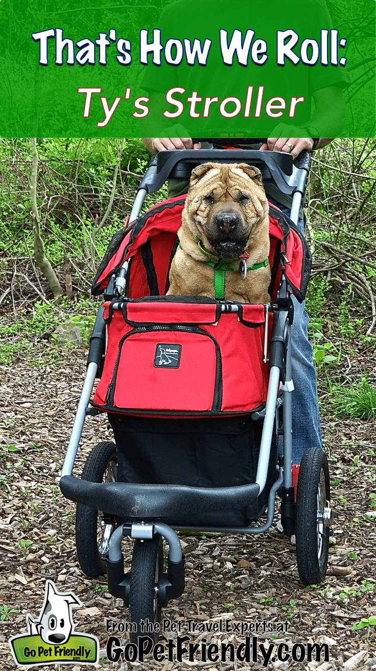 That's How We Roll: Dog Stroller | GoPetFriendly.com