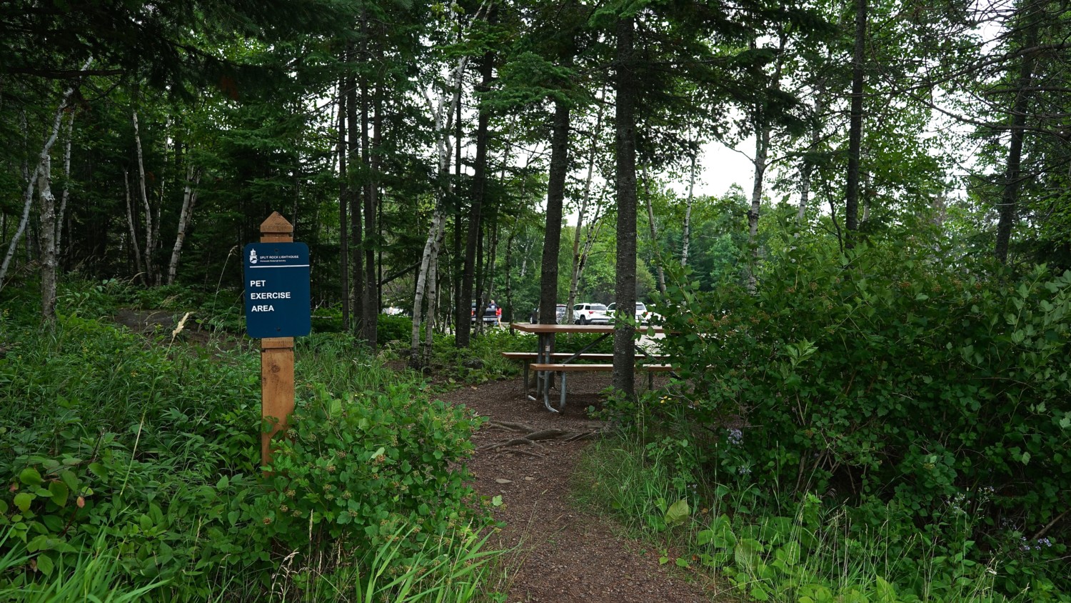 Minnesota's Top Pet Friendly Attraction: Split Rock Lighthouse State Park | GoPetFriendly.com