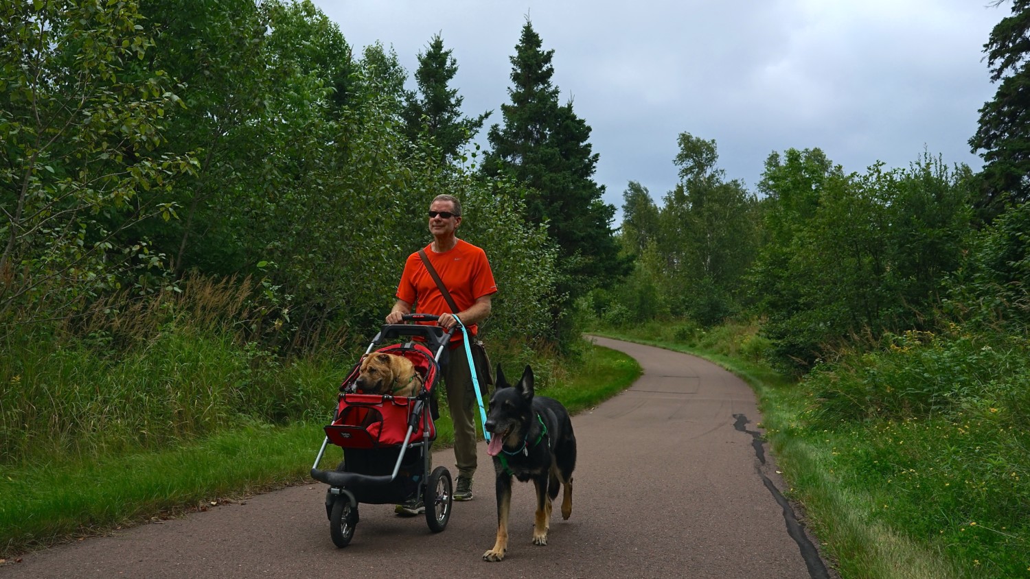 Minnesota's Top Pet Friendly Attraction: Split Rock Lighthouse State Park | GoPetFriendly.com