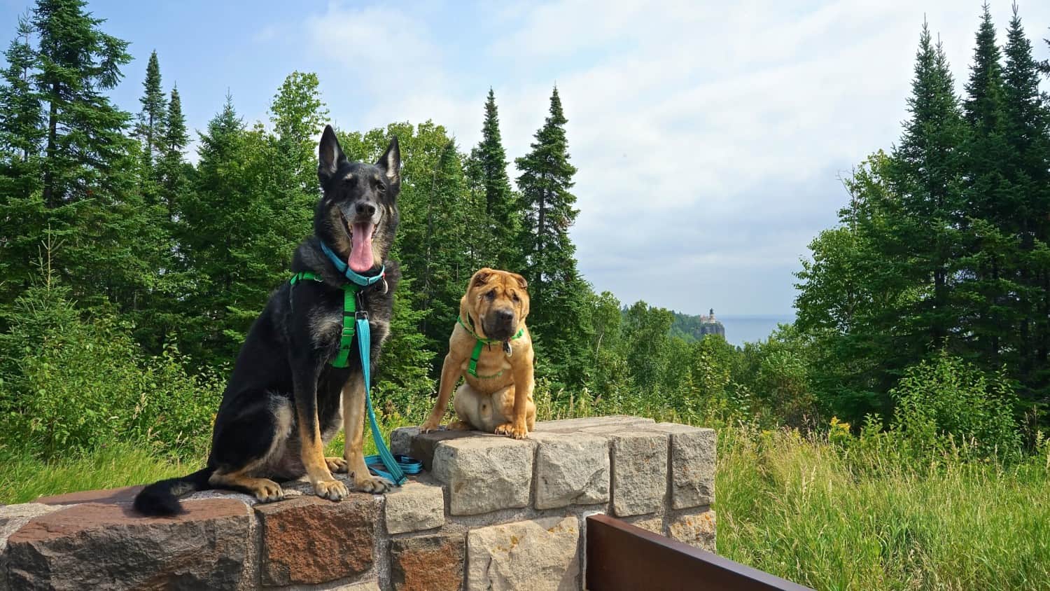 Minnesota's Top Pet Friendly Attraction: Split Rock Lighthouse State Park | GoPetFriendly.com