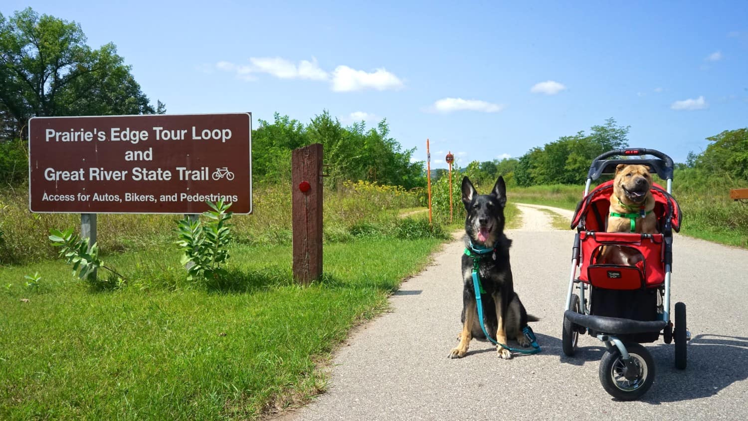 Wisconsin's Top Pet Friendly Attraction: Trempealeau National Wildlife Refuge | GoPetFriendly.com