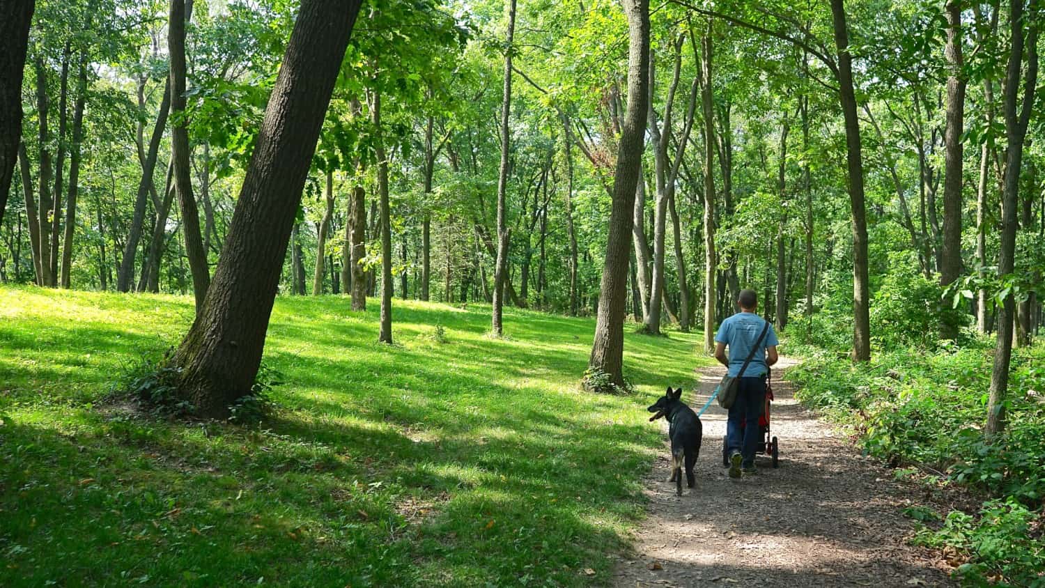 Iowa's Top Pet Friendly Attraction: Effigy Mounds National Monument | GoPetFriendly.com