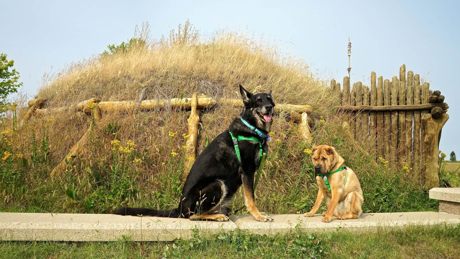 North Dakota's Top Pet Friendly Attraction: Knife River Indian Villages | GoPetFriendly.com