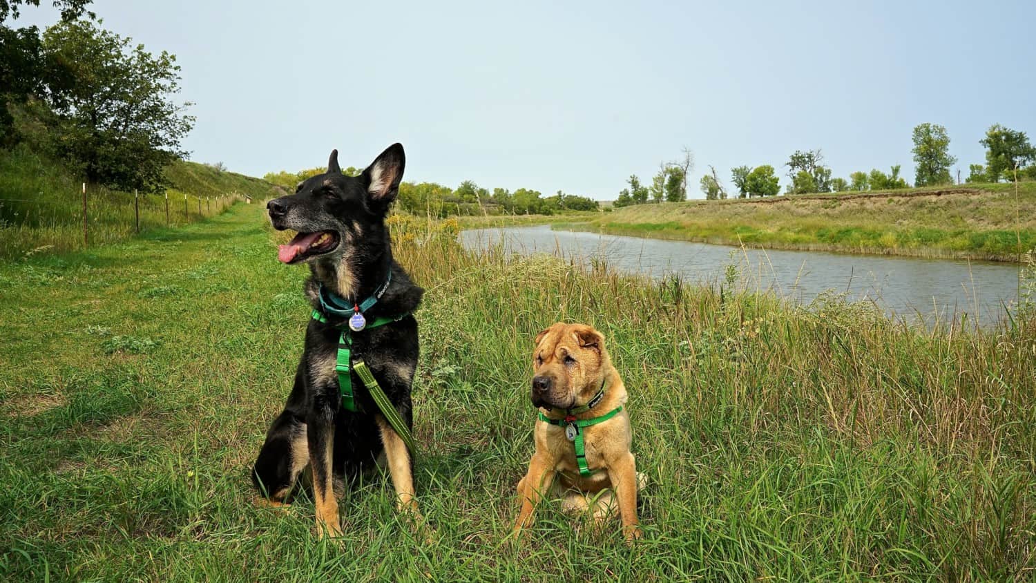 North Dakota's Top Pet Friendly Attraction: Knife River Indian Villages | GoPetFriendly.com