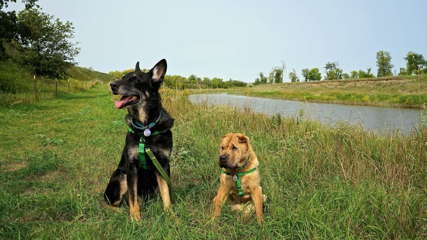 North Dakota's Top Pet Friendly Attraction: Knife River Indian Villages | GoPetFriendly.com