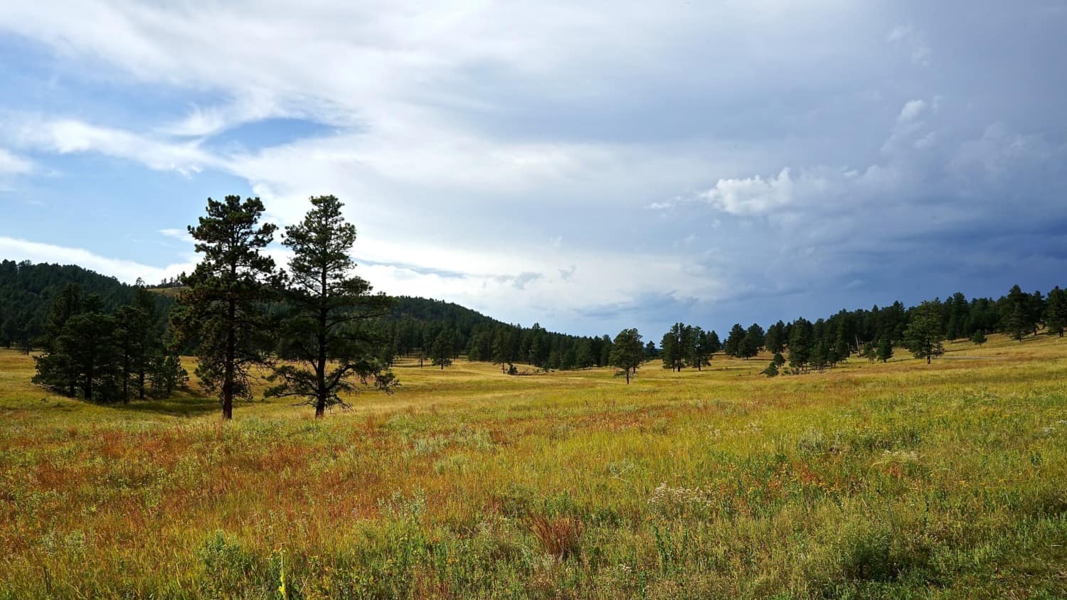 South Dakota's Top Pet Friendly Attraction: Custer State Park | GoPetFriendly.com