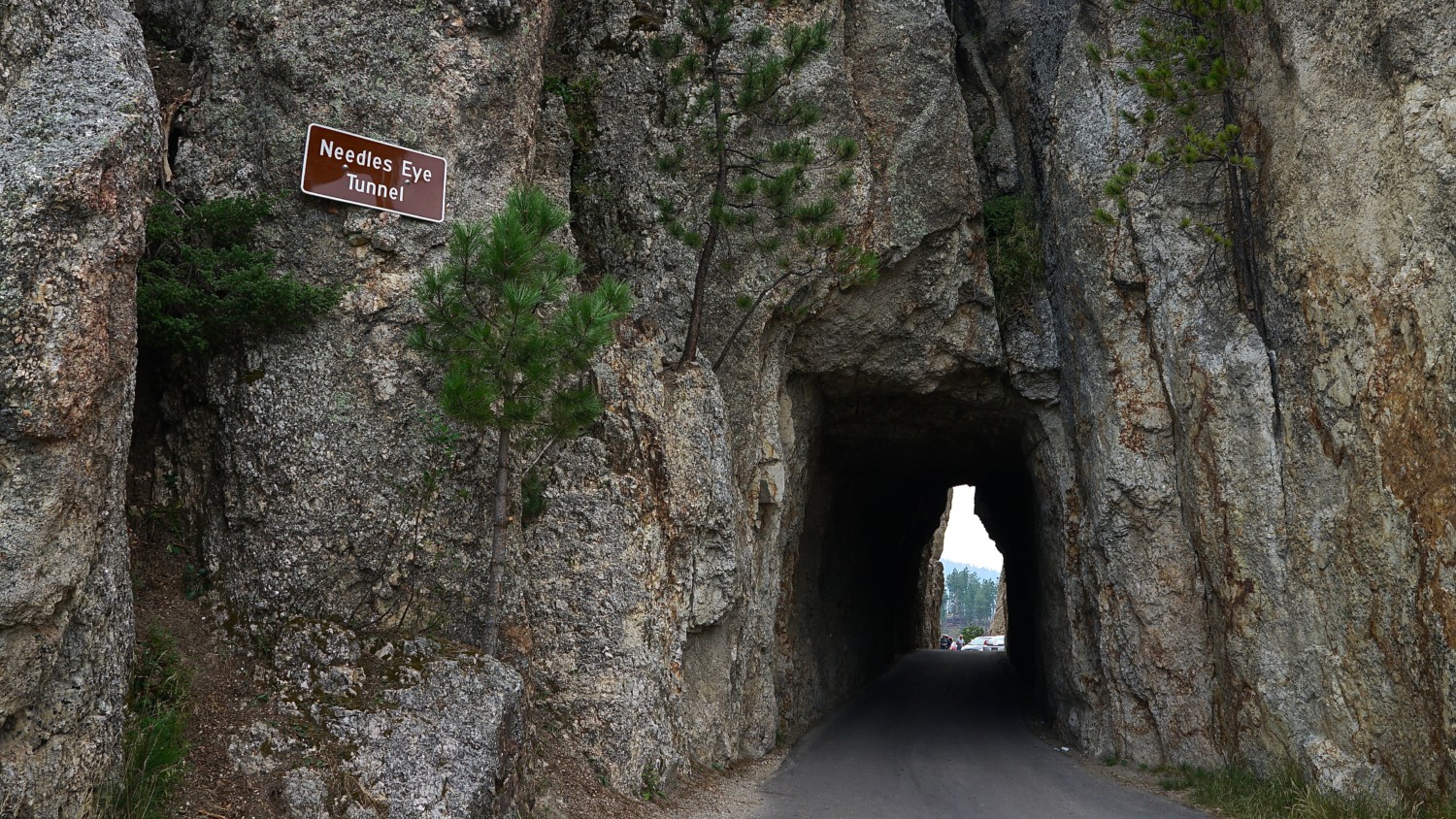 South Dakota's Top Pet Friendly Attraction: Custer State Park | GoPetFriendly.com