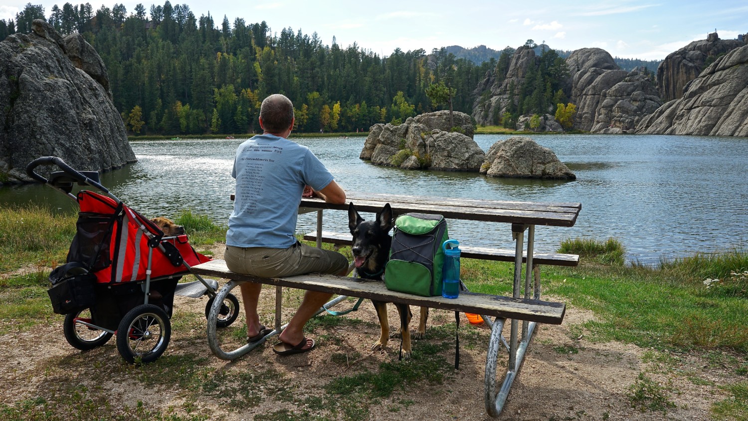 state parks that allow dogs - Custer State Park where a man and German Shepherd sit at a picnic table overlooking a lake