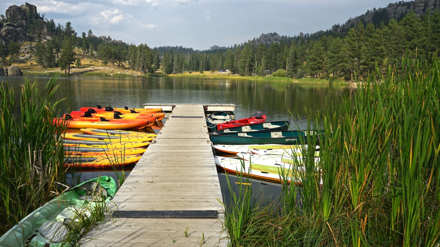 South Dakota's Top Pet Friendly Attraction: Custer State Park | GoPetFriendly.com