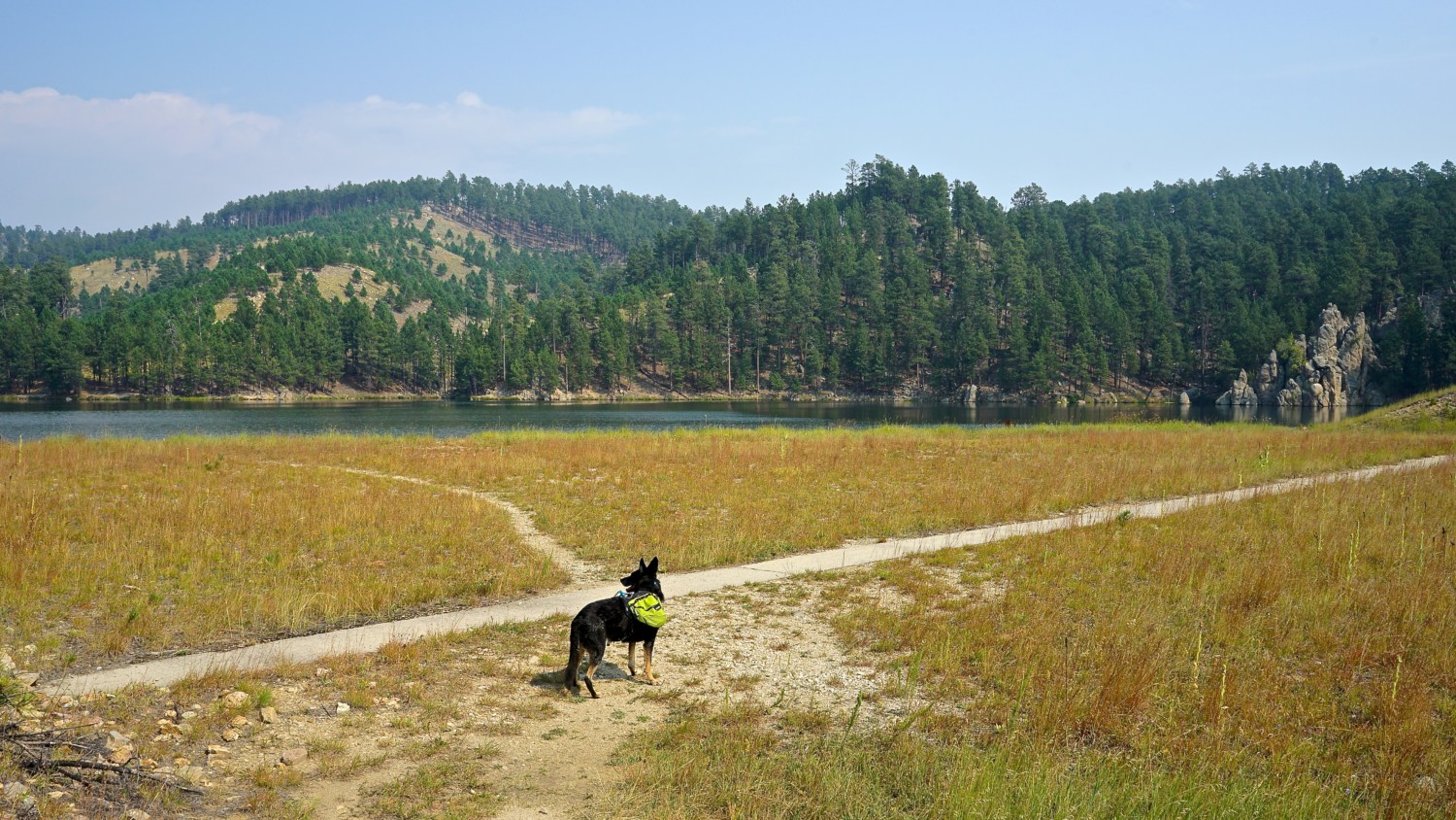 South Dakota's Top Pet Friendly Attraction: Custer State Park | GoPetFriendly.com