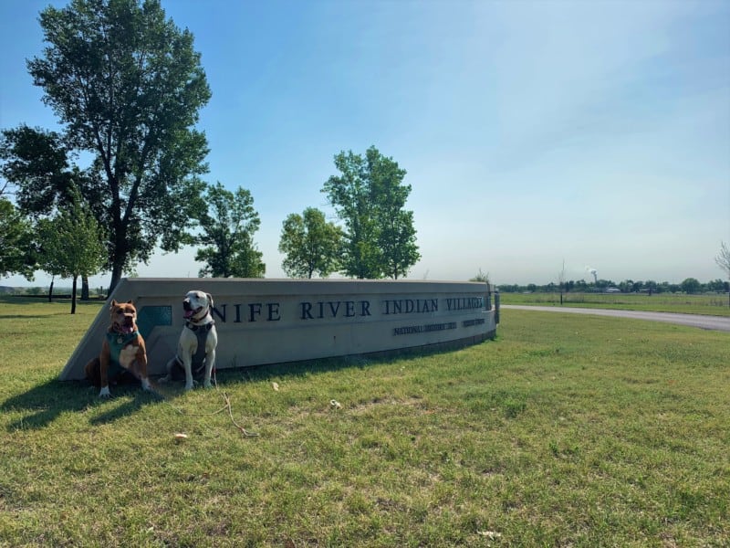 Two dogs sitting in front of the Knife River Indian Villages sign