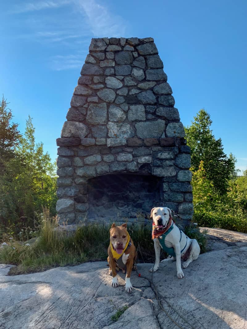 A brown dog and a white dog sitting in front of a stone fireplace at the top of Day Hill Trail at Split Rock Lighthouse State Park in Minnesota