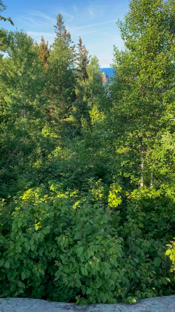 Green trees with a gap between some that is barely low enough to see Split Rock Lighthouse and Lake Superior far off in the distance