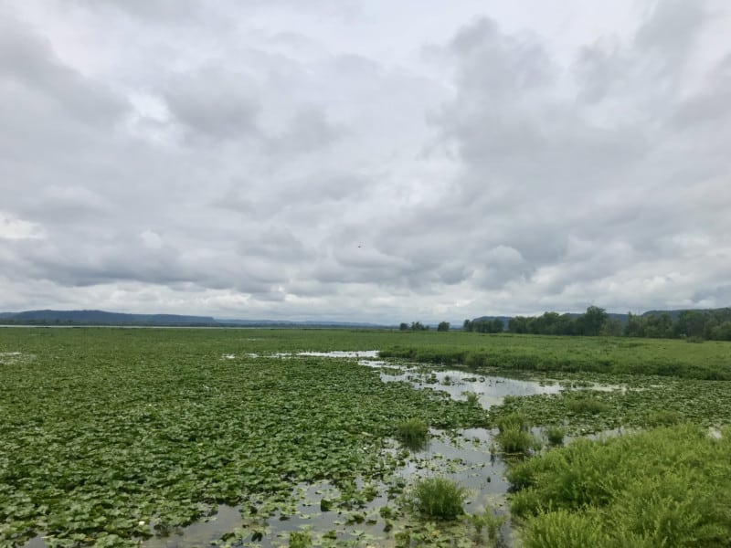 Views at pet friendly Trempealeau National Wildlife Refuge in Wisconsin