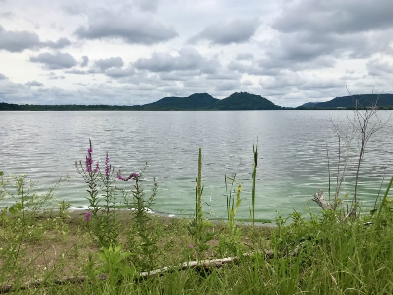 Views at pet friendly Trempealeau National Wildlife Refuge in Wisconsin