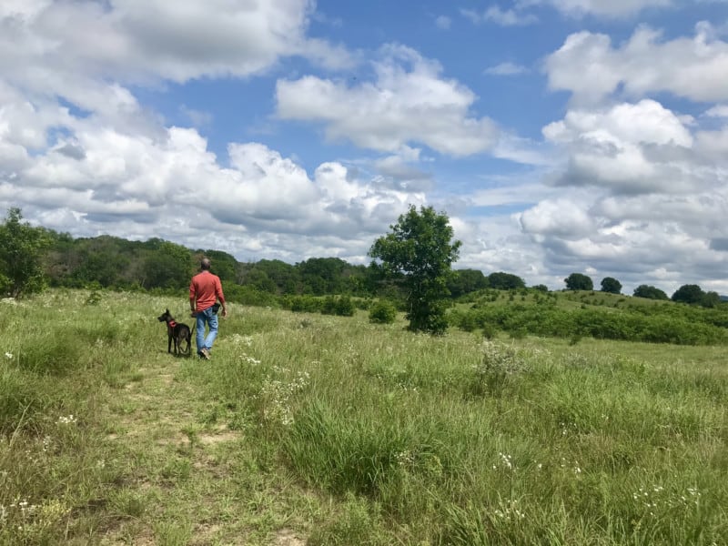 Man and dog walking pet friendly trail at Trempealeau National Wildlife Refuge in Wisconsin