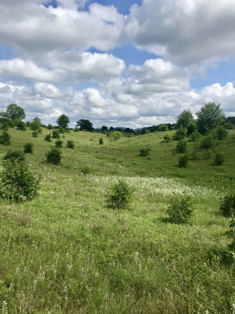 Views at pet friendly Trempealeau National Wildlife Refuge in Wisconsin