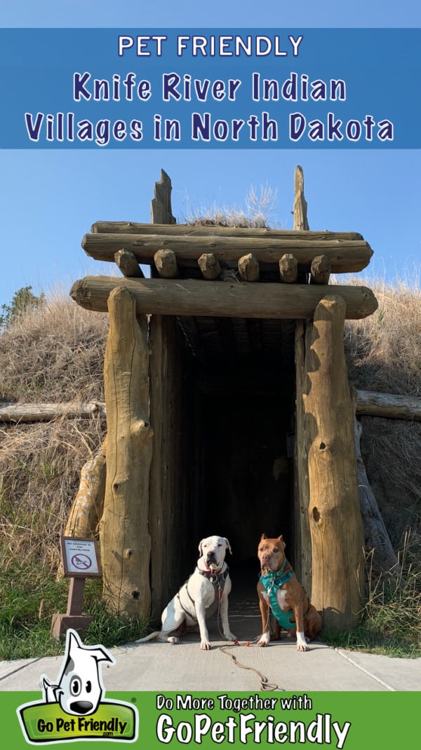 Two dogs sitting in the doorway of an earthen lodge at the pet friendly Knife River Indian Villages in North Dakota