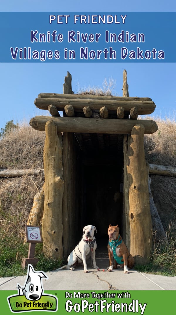 Two dogs sit on the doorstep of a dirt lodge at the pet-friendly Knife River Indian Village in North Dakota