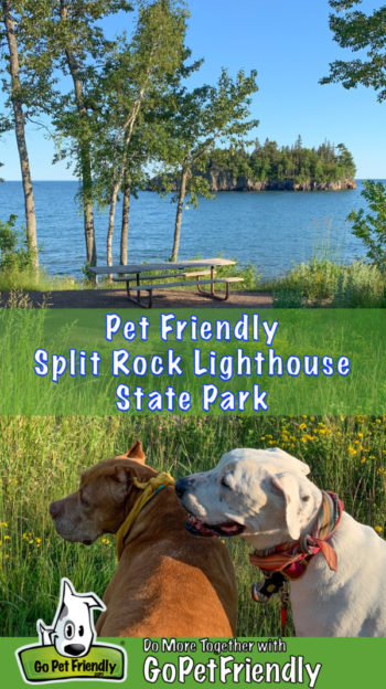 Two dogs at a pet friendly picnic area in Split Rock Lighthouse State Park, Minnesota