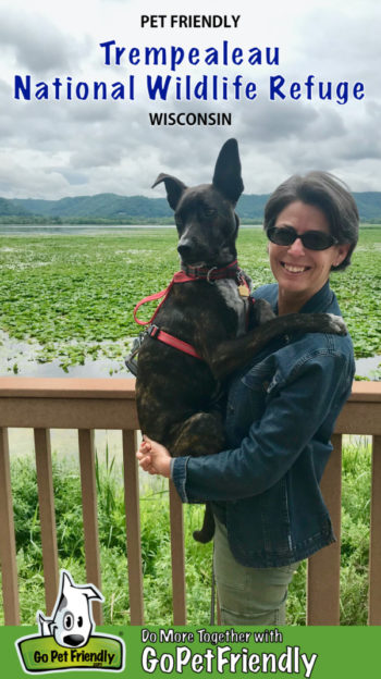 Woman holding brindle dog at pet friendly Trempealeau National Wildlife Refuge in Wisconsin