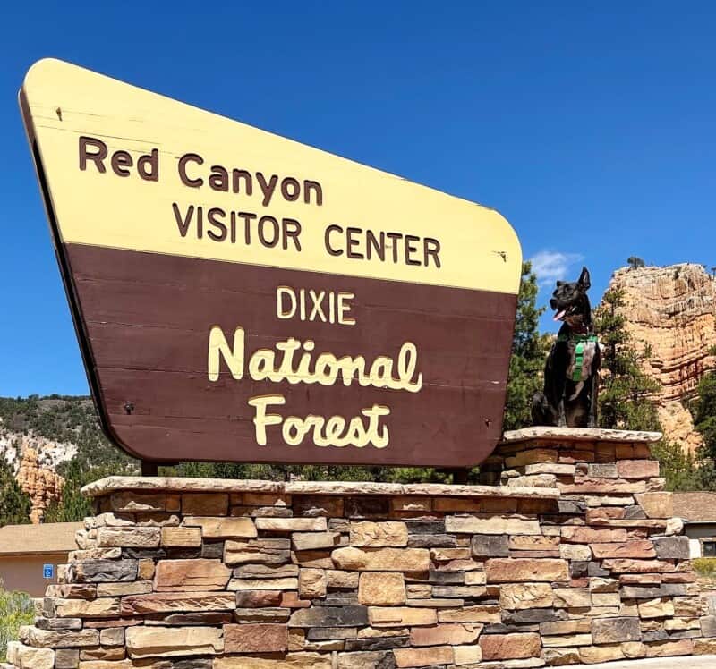 Brindle dog sitting next to a sign for the Red Canyon Visitor Center at Dixie National Forest in Utah