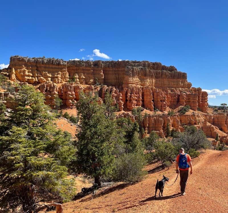 Dog and Man walking on a trail with red rock formations in the background in Dixie National Forest, UT