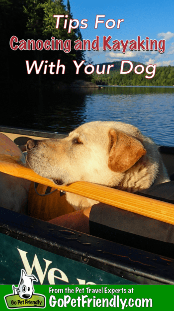 Tips for Canoeing and Kayaking with Dogs | GoPetFriendly.com