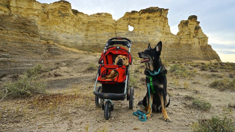 Kansas' Top Pet Friendly Attraction: Monument Rocks