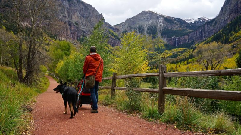 Colorado's Top Pet Friendly Attraction: Telluride Gondola | GoPetFriendly.com