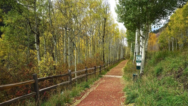 Colorado's Top Pet Friendly Attraction: Telluride Gondola | GoPetFriendly.com