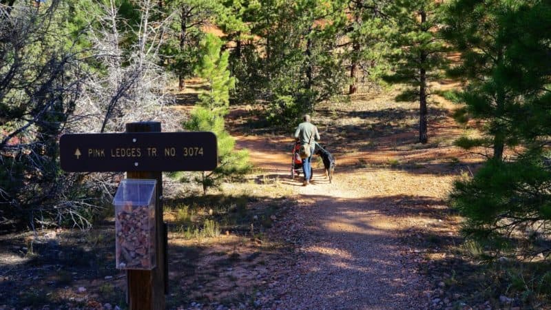 Utah's Top Pet Friendly Attraction: Dixie National Forest | GoPetFriendly.com