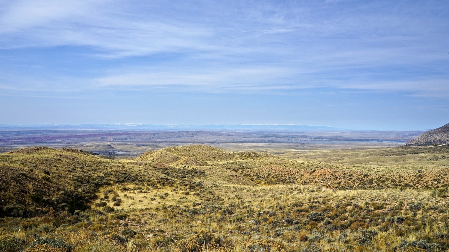 Wyoming's Top Pet Friendly Attraction: Medicine Wheel | GoPetFriendly.com