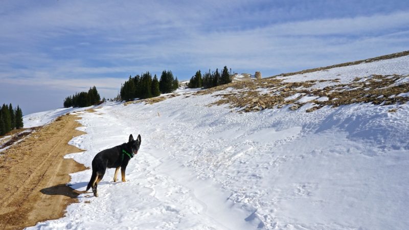 Wyoming's Top Pet Friendly Attraction: Medicine Wheel | GoPetFriendly.com