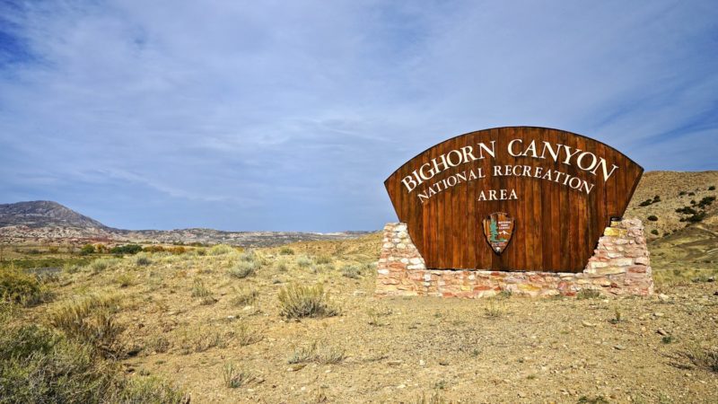 Wyoming's Top Pet Friendly Attraction: Medicine Wheel | GoPetFriendly.com