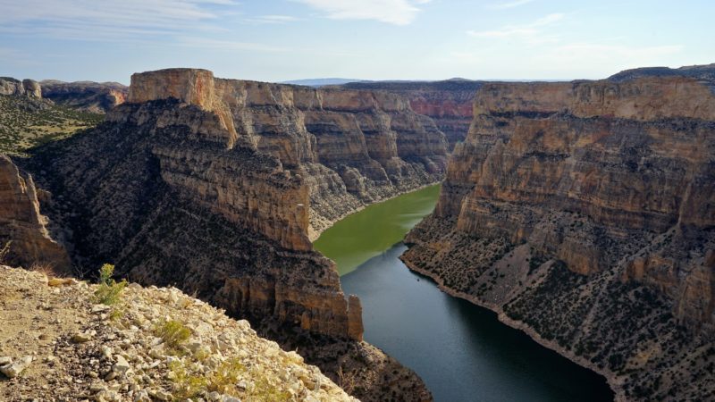 Wyoming's Top Pet Friendly Attraction: Medicine Wheel | GoPetFriendly.com