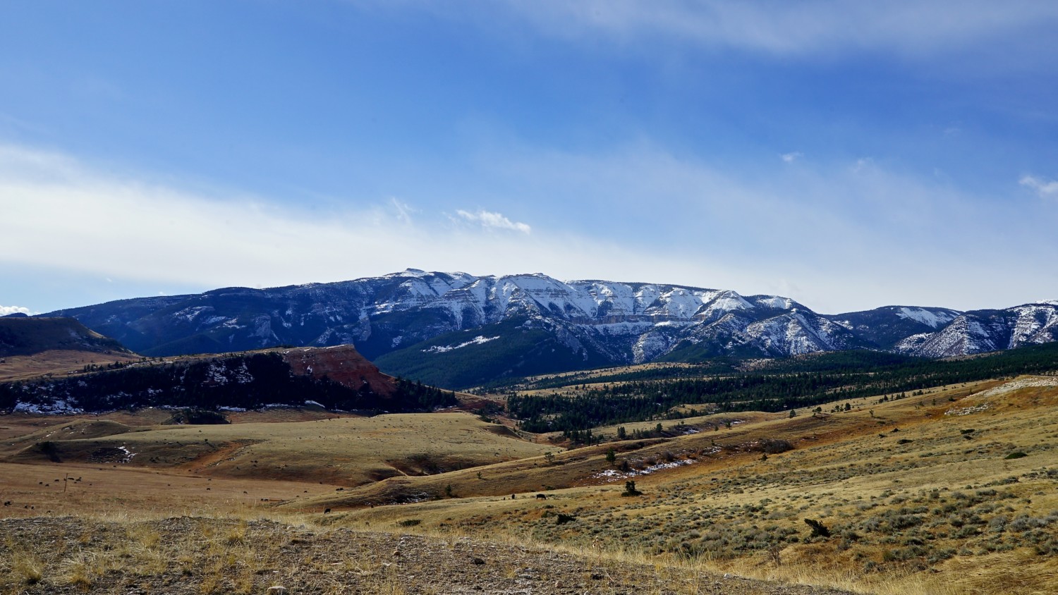 Montana's Top Pet Friendly Attraction: Beartooth Highway | GoPetFriendly.com