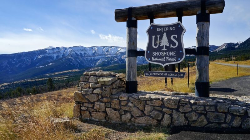 Montana's Top Pet Friendly Attraction: Beartooth Highway | GoPetFriendly.com