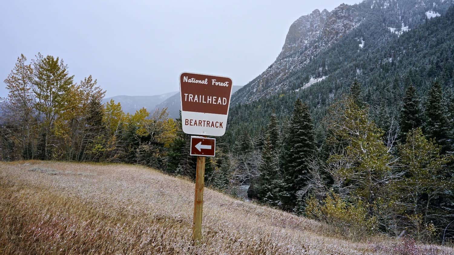 Montana's Top Pet Friendly Attraction: Beartooth Highway | GoPetFriendly.com