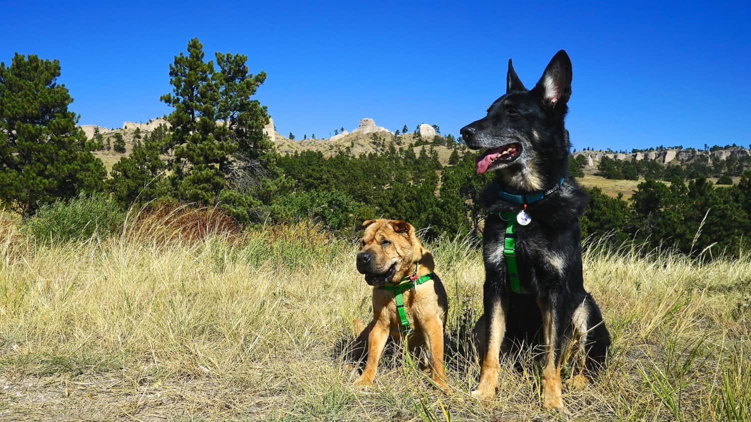 Nebraska's Pet Friendly Fort Robinson State Park