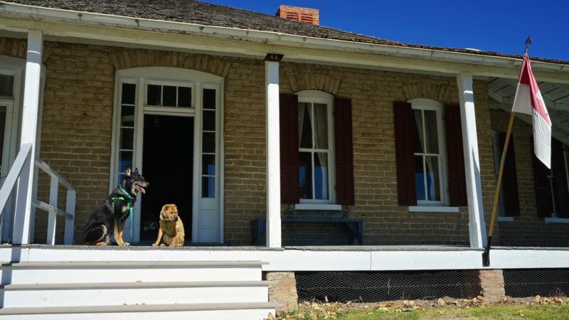 Nebraska's Top Pet Friendly Attraction: Fort Robinson State Park | GoPetFriendly.com