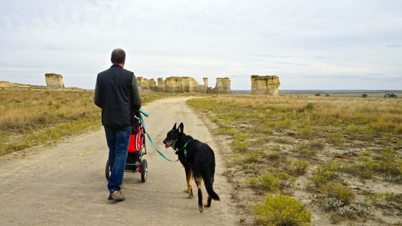 Kansas' Top Pet Friendly Attraction: Monument Rocks