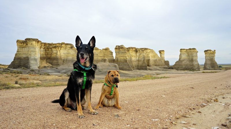 Kansas' Top Pet Friendly Attraction: Monument Rocks