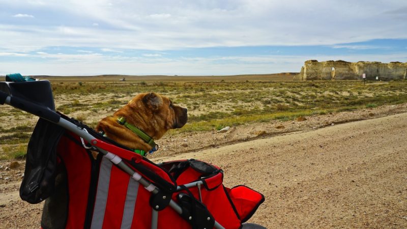 Kansas' Top Pet Friendly Attraction: Monument Rocks