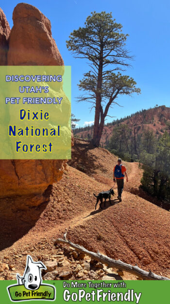 Man and dog walking on a pet friendly trail in Dixie National Forest in Utah