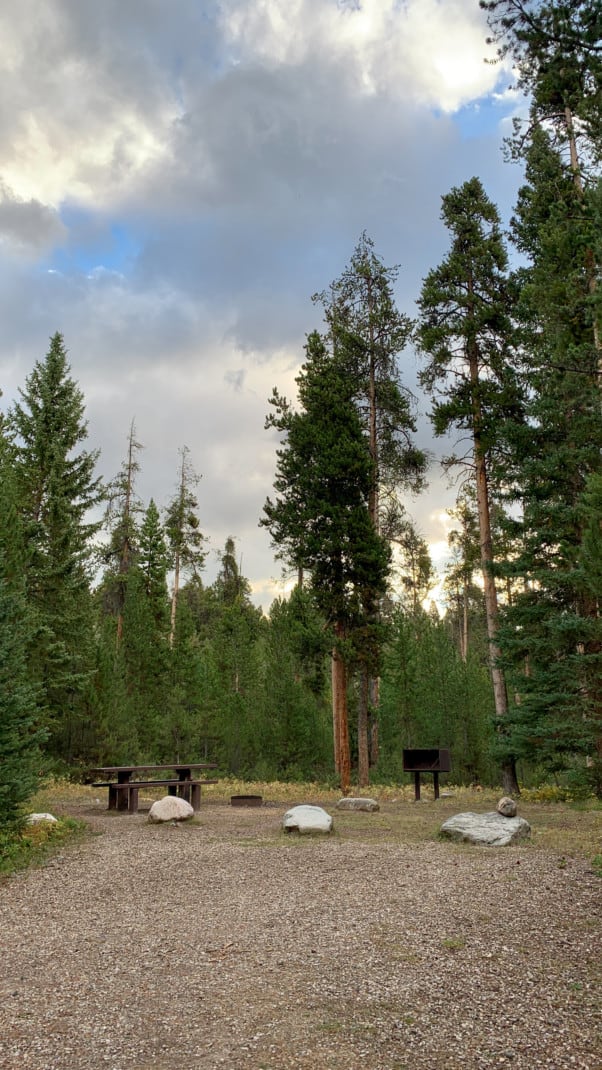 A campsite with a picnic table, campfire ring, and bear-safe food storage bin at Crazy Creek Campground along the Beartooth Highway