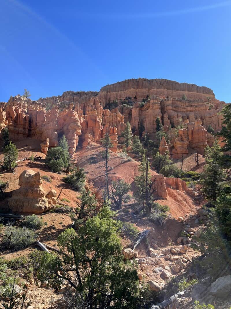 View of red rock formations in Dixie National Forest, UT