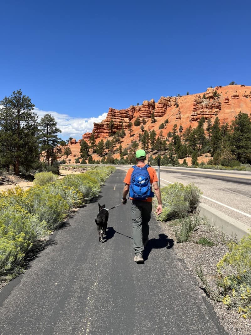 Man and dog walking the Red Canyon Bike Path in Dixie National Forest, Utah