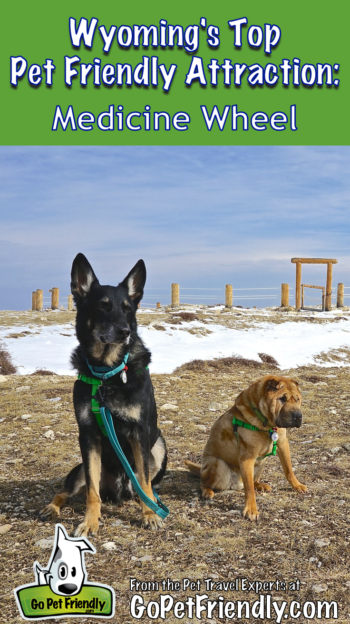 Wyoming's Top Pet Friendly Attraction: Medicine Wheel | GoPetFriendly.com
