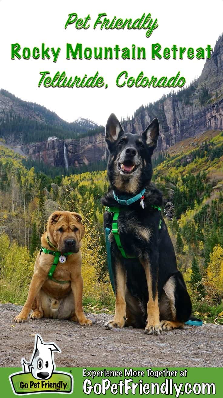 Two dogs on a pet friendly trail in Telluride, CO with Bridal Veil Falls in the background